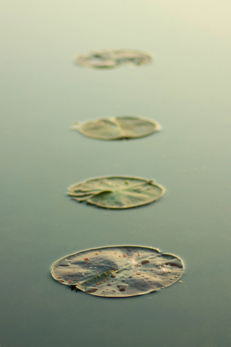 tumblr_lt0udkiMx71qzty50o1_500