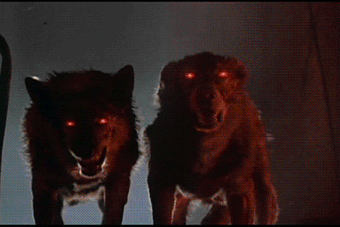 dcbd4196fbe3e8e379a0d7d226bbe78aebe87272_m