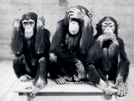 tumblr_lmihx1EadF1qa70eyo1_1280