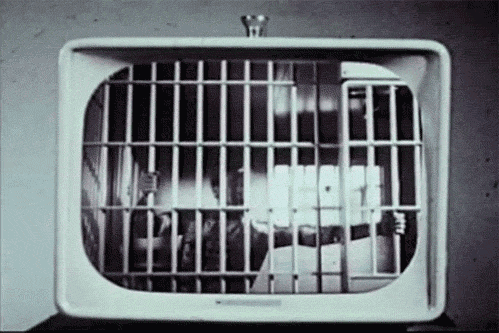 tumblr_lubx9atYjO1qg39ewo1_500