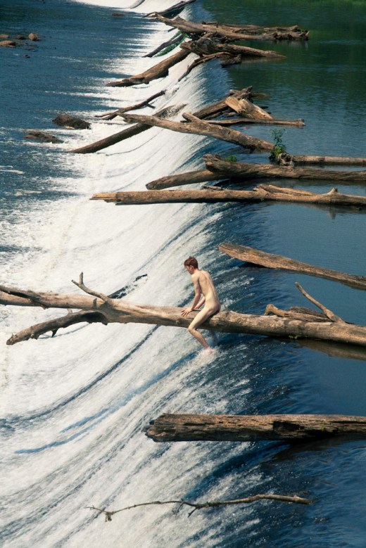 William_Floating_Trees_2012