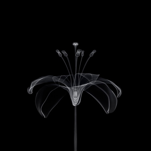 tumblr_mmtodpBBdV1qz6f9yo2_500