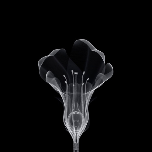 tumblr_mmtodpBBdV1qz6f9yo3_500