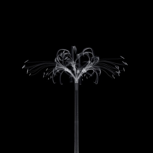 tumblr_mmtodpBBdV1qz6f9yo5_500