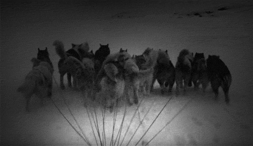 tumblr_m91jvdHLoj1qg39ewo1_500