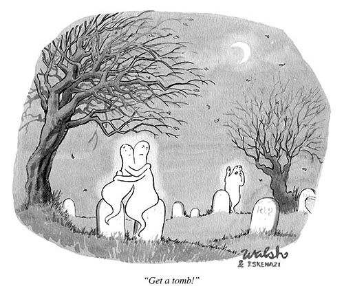 tumblr_mve0vlAaX81qz6f9yo1_500