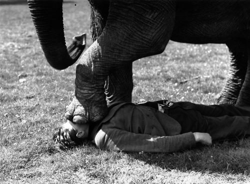 tumblr_liu1elm5G01qaouuqo1_500