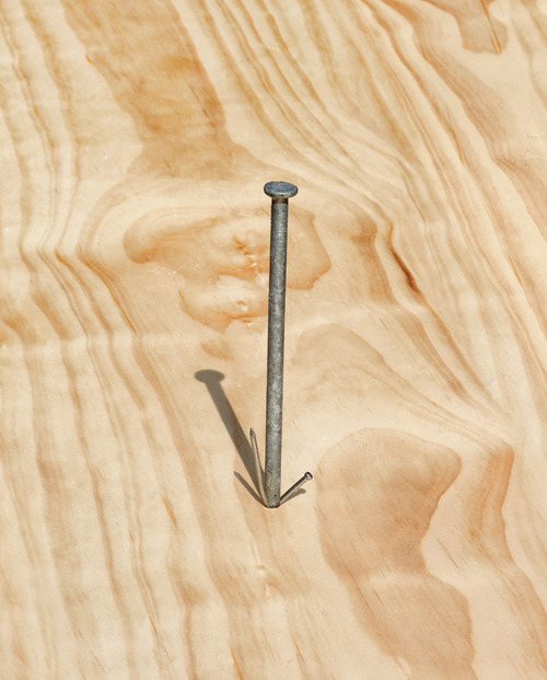 tumblr_mpn0tkAgv81qzcdbeo1_500