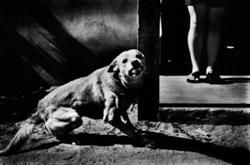 margaret-m-de-lange-35