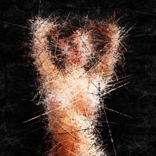 tumblr_mw6dn9I3rn1qz6f9yo2_1280