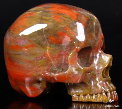 Petrified-Wood-Crystal-Skull-03
