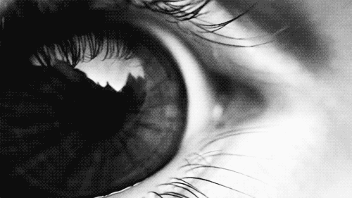 tumblr_lv1dymlRkG1qffkwto1_500