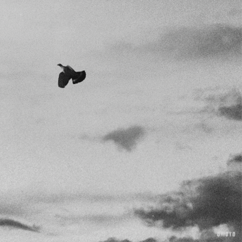 e9f9d3e7c7eb91bae419ecfb2fc94e253aebaebd_m