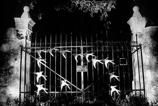 evgen-bavcar-gate-with-swallows