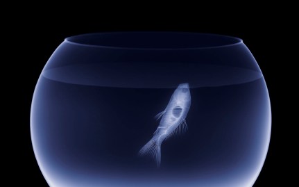 tumblr_mzrdl9jp9k1qz6f9yo1_1280