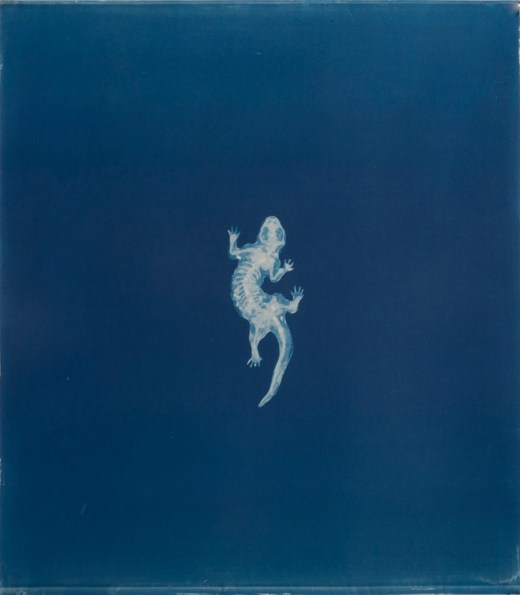 tumblr_n8ifqv1H8n1qz6f9yo6_1280