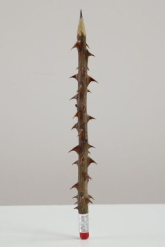 tumblr_n85hh6RGug1qz6f9yo3_400