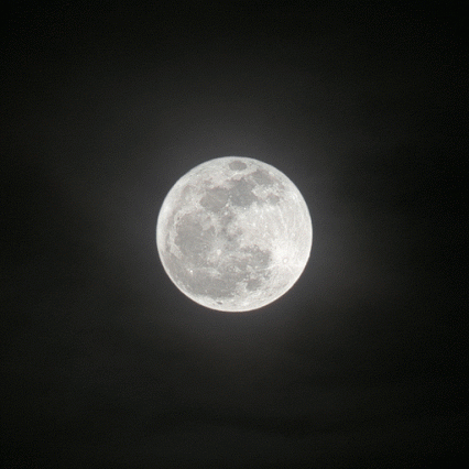 Micael Reynaud - FullMoon