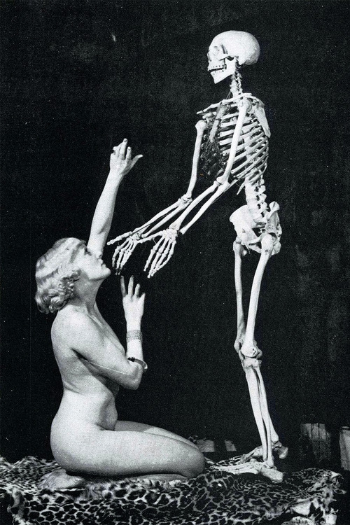 tumblr_n6lqxwVDI81qz6f9yo1_500