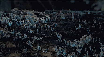 1479911578234503427848