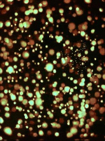 ade04861d64796a5ab1c4870bb787229f3d112c0_m