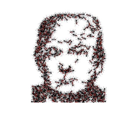 tumblr_ogm3u1iliv1qz6f9yo2_r1_500